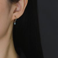 Mode Géométrique Argent Sterling Incruster Zircon Boucles D'oreilles Pendantes main image 4