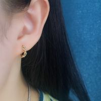 Fashion Geometric Sterling Silver Plating Earrings 1 Pair main image 3