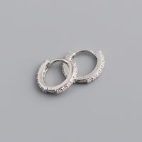 Fashion Round Sterling Silver Inlay Zircon Earrings 1 Pair sku image 4