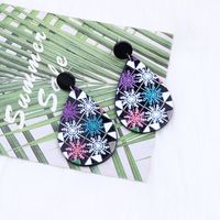 Cute Water Droplets Arylic Printing Women's Drop Earrings 1 Pair main image 3