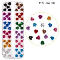 Fashion Geometric Alloy Resin Shell Nail Patches 1 Set sku image 13