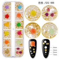 Fashion Geometric Alloy Resin Shell Nail Patches 1 Set sku image 58