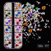 Fashion Geometric Alloy Resin Shell Nail Patches 1 Set sku image 2