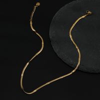 Großhandel Schmuck Schlangenknochenkette Einfache Edelstahlhalskette Nihaojewelry main image 3