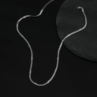 Großhandel Schmuck Schlangenknochenkette Einfache Edelstahlhalskette Nihaojewelry main image 4