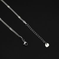 Wholesale Jewelry Snake Bone Chain Simple Stainless Steel Necklace Nihaojewelry main image 5