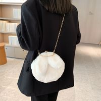 Women's Small Plush Solid Color Cute Round Lock Clasp Crossbody Bag main image 5