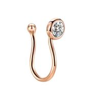 Simple Style Heart Shape Stainless Steel Inlay Zircon Nose Ring 1 Piece sku image 24