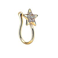 Simple Style Heart Shape Stainless Steel Inlay Zircon Nose Ring 1 Piece sku image 37