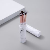 Simple Style Artificial Fiber Plastic Handle Makeup Brushes 1 Set main image 4