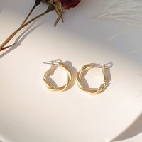 Fashion Solid Color Metal Plating Women's Drop Earrings 1 Pair sku image 25