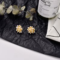 Fashion Solid Color Metal Plating Women's Drop Earrings 1 Pair sku image 48