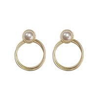Fashion Solid Color Metal Plating Women's Drop Earrings 1 Pair main image 3