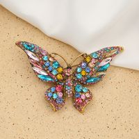 Mode Papillon Alliage Incruster Strass Femmes Broches main image 3