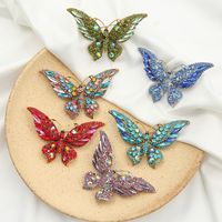 Mode Papillon Alliage Incruster Strass Femmes Broches main image 5