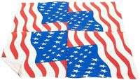 Birthday American Flag Paper Party Tableware main image 5