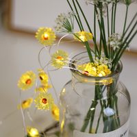 Birthday Cute Daisy Plastic Party String Lights main image 1