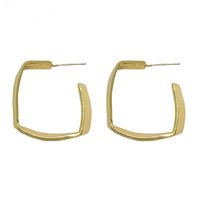 Fashion Geometric Alloy Plating Alloy Women's Earrings 1 Pair main image 2