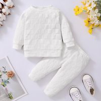 Simple Style Solid Color Cotton Girls Clothing Sets sku image 13