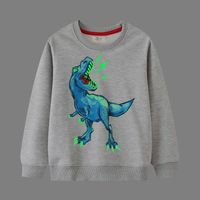 Mode Dinosaurier Baumwolle Hoodies & Pullover main image 6