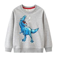 Mode Dinosaurier Baumwolle Hoodies & Pullover main image 3