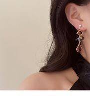 Retro Geometric Alloy Inlay Rhinestones Women's Drop Earrings 1 Pair main image 5