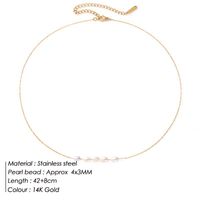 Simple Style Geometric Stainless Steel Beaded Necklace 1 Piece sku image 2