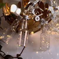 عيد الميلاد رومانسي زجاجة حيوان أليف داخلي أضواء السلسلة 1 مجموعة main image 5