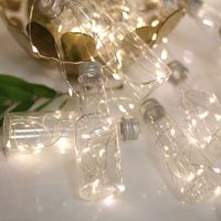 Christmas Romantic Bottle Pet Indoor String Lights 1 Set main image 4