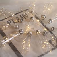 Christmas Romantic Bottle Pet Indoor String Lights 1 Set main image 1