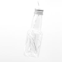 Christmas Romantic Bottle Pet Indoor String Lights 1 Set main image 2