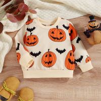 Halloween Cute Pumpkin Cotton Polyester Hoodies & Knitwears main image 5