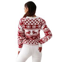 Fashion Snowflake Acrylic Round Neck Long Sleeve Regular Sleeve Patchwork Sweater main image 3