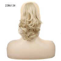 Women's Fashion Holiday High Temperature Wire Long Curly Hair Wigs sku image 5