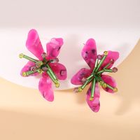 Fashion Flower Plastic Beaded Women's Ear Studs 1 Pair main image 6