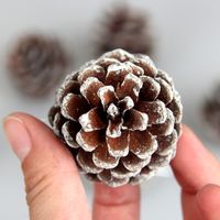 Christmas Fashion Pine Cones Wood Party Hanging Ornaments 6 Pieces main image 2