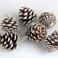 Christmas Fashion Pine Cones Wood Party Hanging Ornaments 6 Pieces main image 1