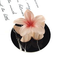 Fairy Style Flower Synthetic Resin Stoving Varnish Hair Claws sku image 40