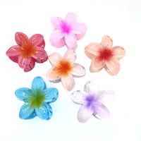 Fairy Style Flower Synthetic Resin Stoving Varnish Hair Claws main image 1