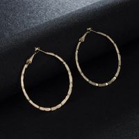 Simple Style Round Alloy Sequins Women's Hoop Earrings 1 Pair main image 1