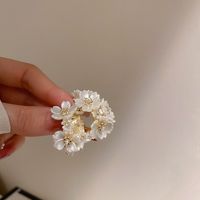 Glam Blume Kupfer Vergoldete Strass Steine Ohr Stecker 1 Paar main image 1