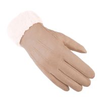 Women's Simple Style Solid Color Velvet Polyester Gloves 1 Pair sku image 1