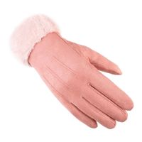 Women's Simple Style Solid Color Velvet Polyester Gloves 1 Pair sku image 2