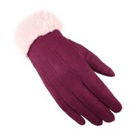 Women's Simple Style Solid Color Velvet Polyester Gloves 1 Pair sku image 5