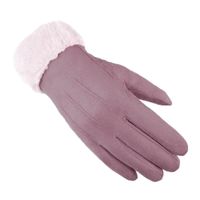 Women's Simple Style Solid Color Velvet Polyester Gloves 1 Pair sku image 6