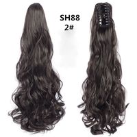 Women's Fashion Multicolor Brown Black Party High Temperature Wire Long Curly Hair Wigs sku image 7