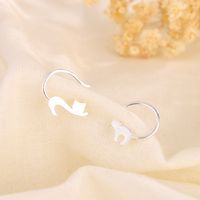 Simple Style Cat Copper Plating Ear Studs 1 Pair sku image 1