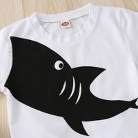 Mode Requin Impression Polyester Garçons Vêtements Ensembles main image 4
