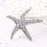 Fashion Star Alloy Plating Artificial Rhinestones Women's Brooches main image 3
