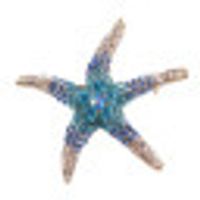 Moda Estrella Aleación Enchapado Diamantes De Imitación Artificiales Mujeres Broches sku image 1